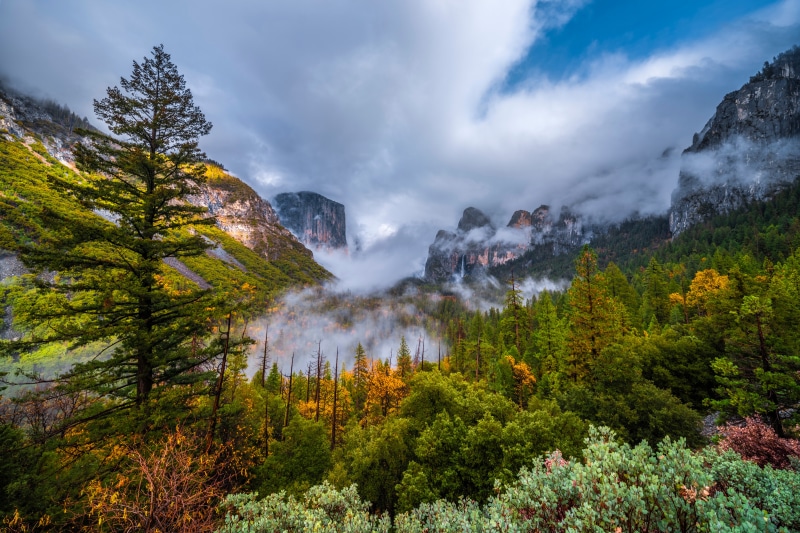 Yosemite National Park, California, USA