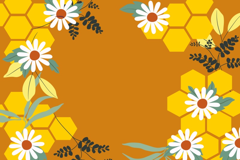 Bellis and Honeycomb Template Greeting Card