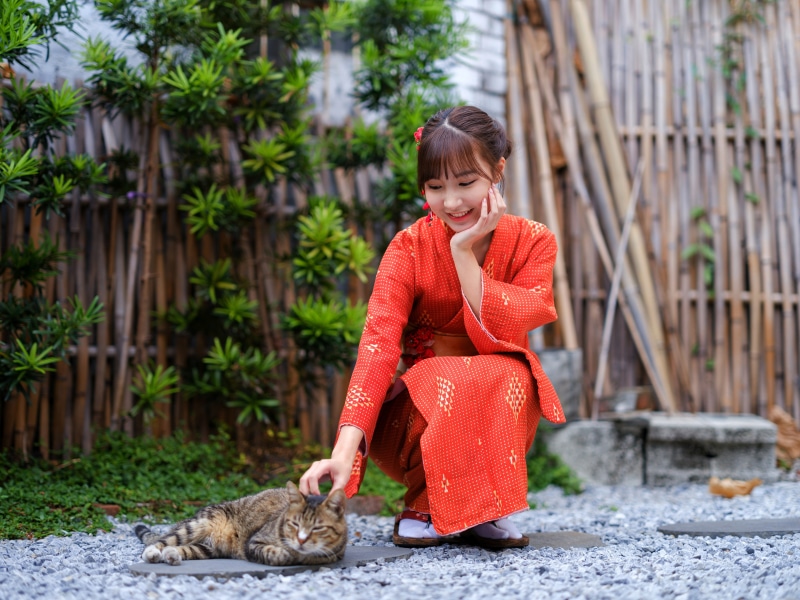 Asian woman in kimono petting a cat