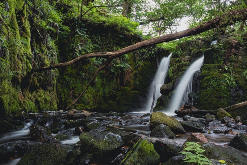 Vennford Falls, Dartmoor, United Kingdom: Mossy Rocks and Waterfalls