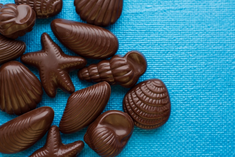 Chocolate candies shaped like seashells and starfish