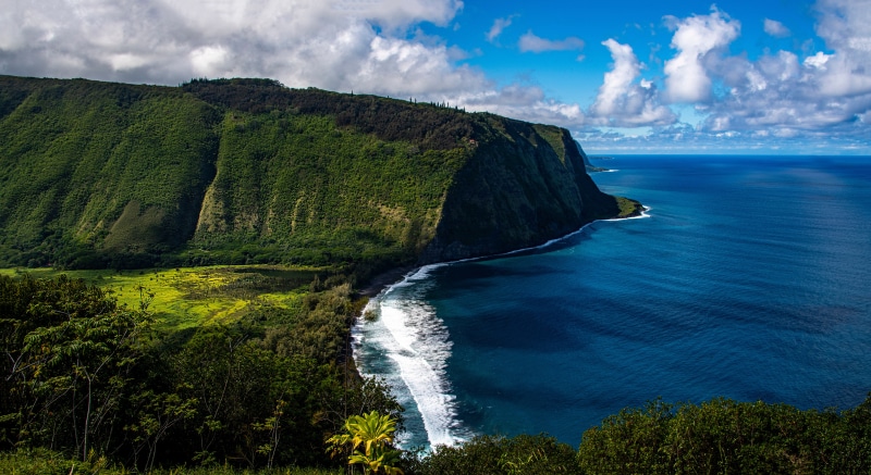 Hawaii Coastline with Green Cliffs and Ocean