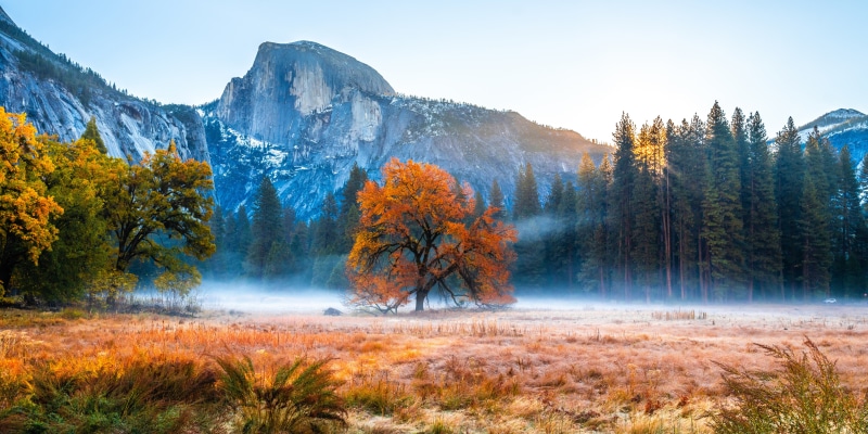 Yosemite National Park in Autumn with Fog