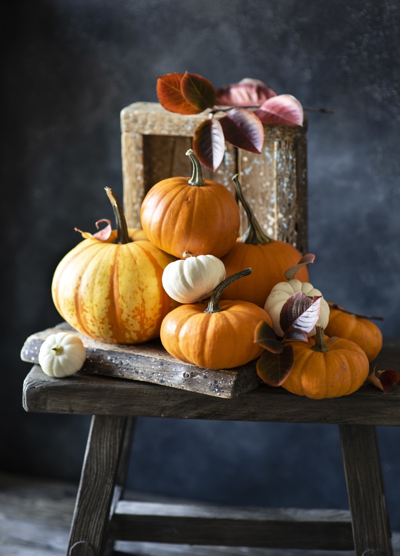 Pumpkins on a wooden bench with autumn leaves