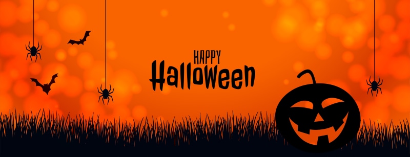 Happy Halloween Pumpkin Spiders Bats
