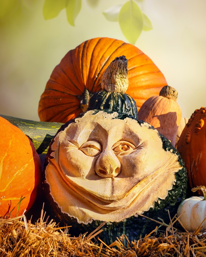 Carved pumpkin face with other pumpkins