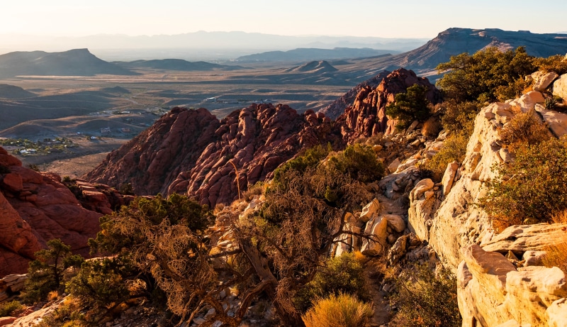 Red Rock Canyon National Conservation Area, USA