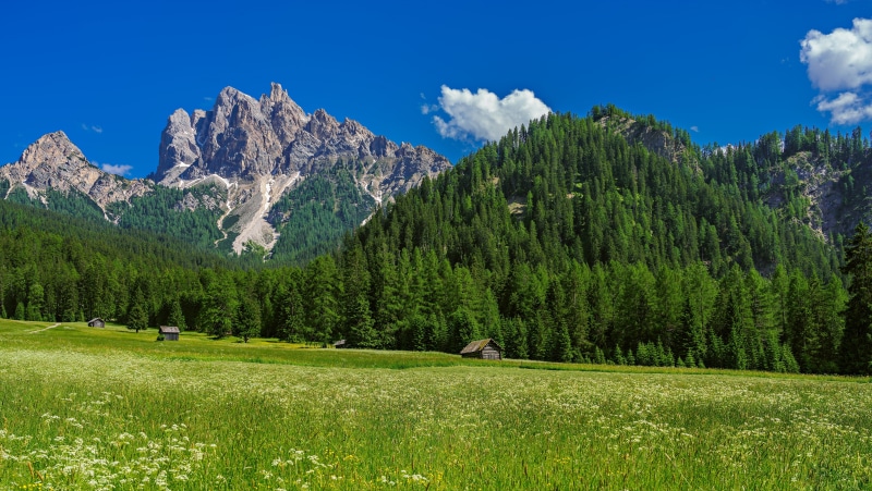 4K Mountains and Meadow in Trentino-Alto Adige, Italy