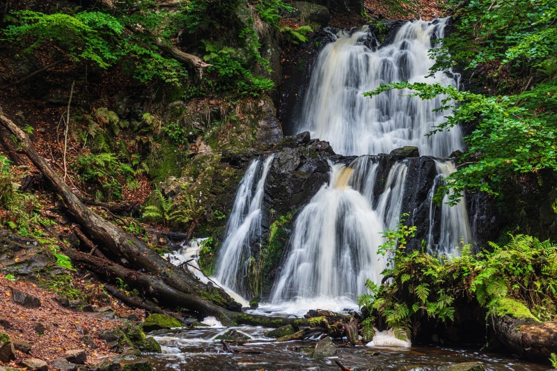Waterfall cascading over mossy rocks in a forest
