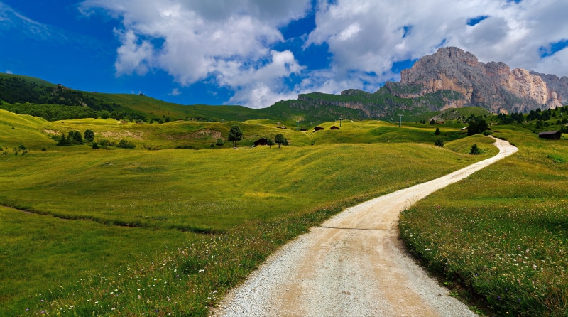 Road through green hills to the Alps in Trentino-Alto Adige, Italy