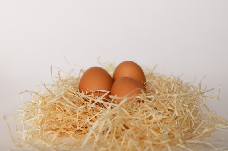Three brown eggs in a nest