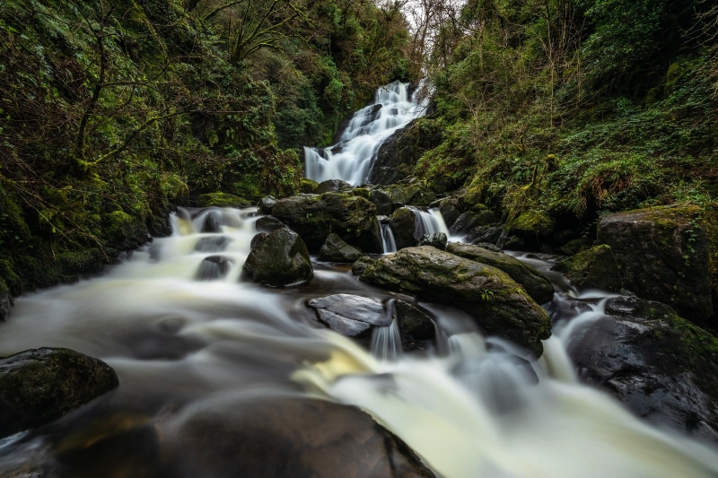 Waterfall cascading over mossy stones in a forest