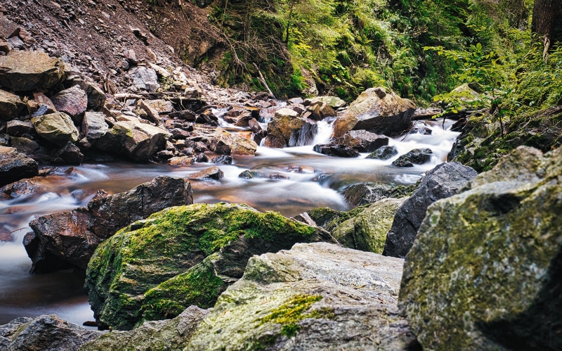 Mossy Stones in a Forest Stream