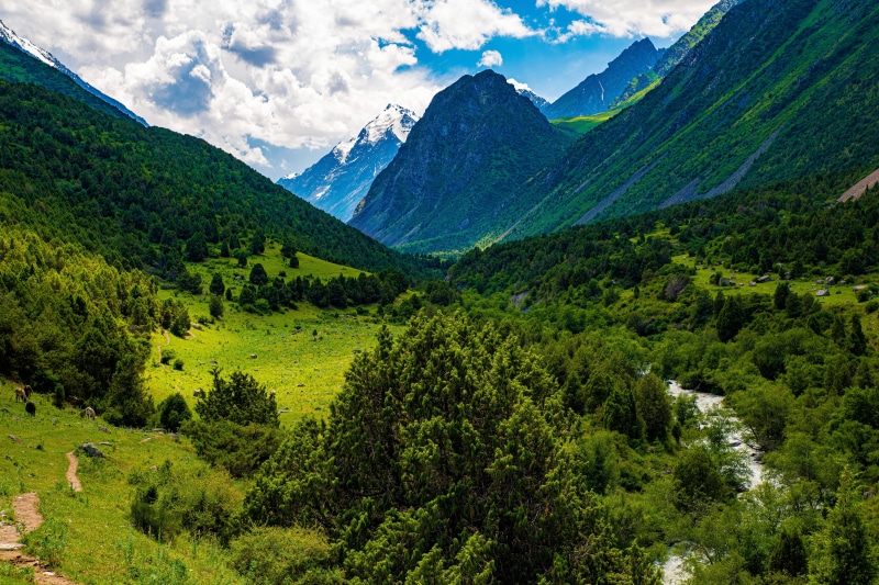 Issyk-Ata Gorge, Kyrgyzstan Mountains with Trees and Clouds