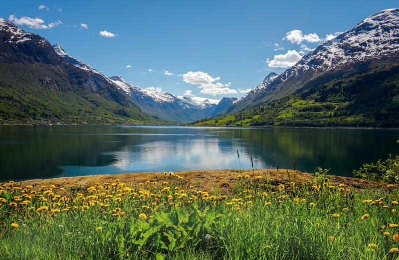 4K Nordfjord Norway Mountains Summer Dandelions Fjord