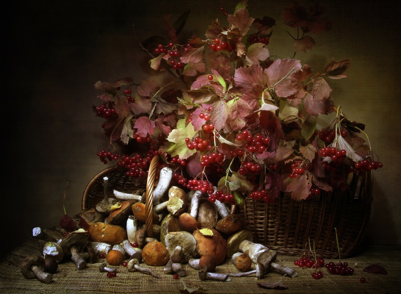 Still life with mushrooms and red berries in a wicker basket