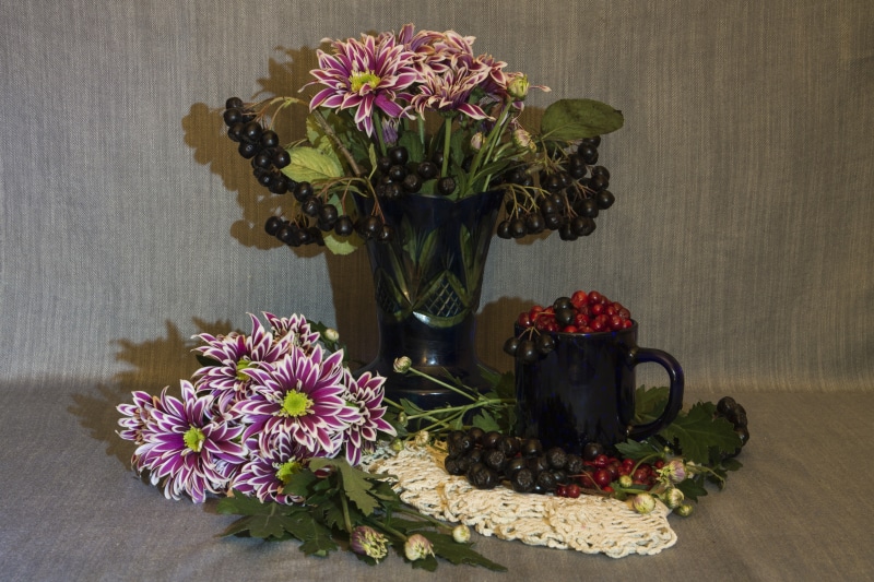 Chrysanthemums and berries in a vase and mug