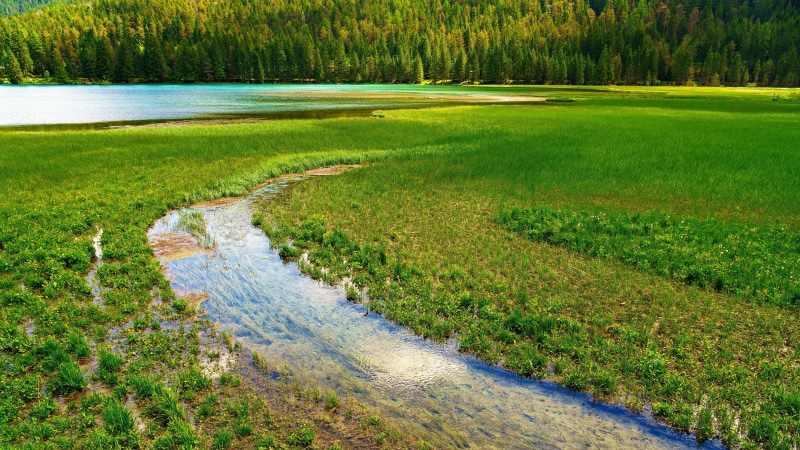 4K Lake Dobbiaco Italy River and Forest