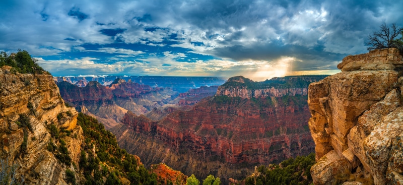 Grand Canyon National Park Panorama