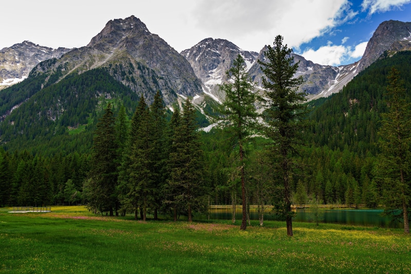 4K Mountains and Forest in Trentino-Alto Adige, Italy