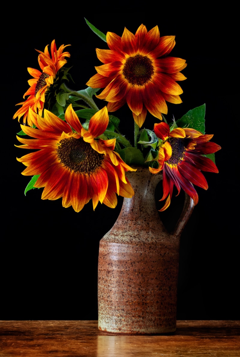 Vase of Red and Yellow Sunflowers