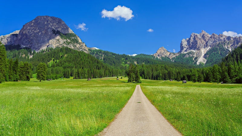 Road through a green field to the Alps mountains in Italy