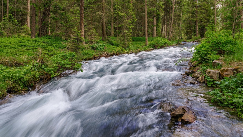 4K Rio Anterselva Stream with Stones and Trees
