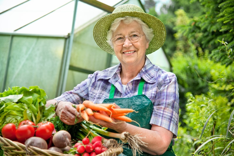 Elderly woman in a hat with fresh vegetables