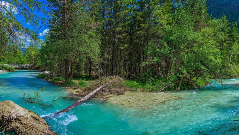 4K River and Trees in Trentino-Alto Adige, Italy