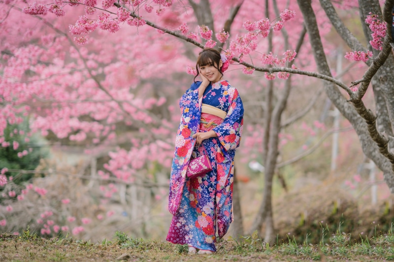 Woman in Kimono under Sakura trees