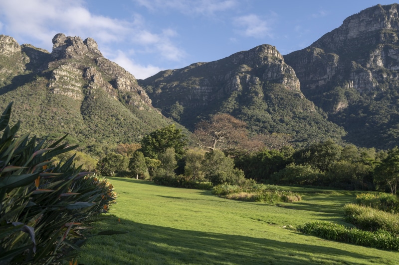 Green lawn and mountains with trees