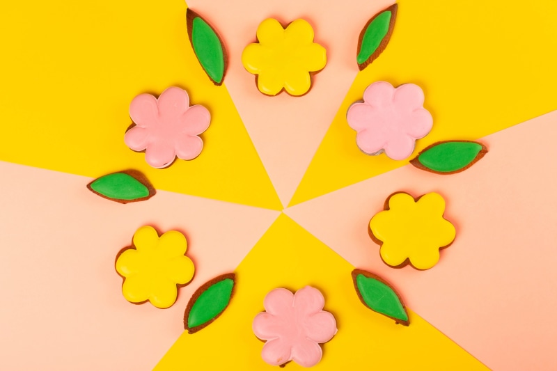 Flower Cookies and Leaves on Colorful Background