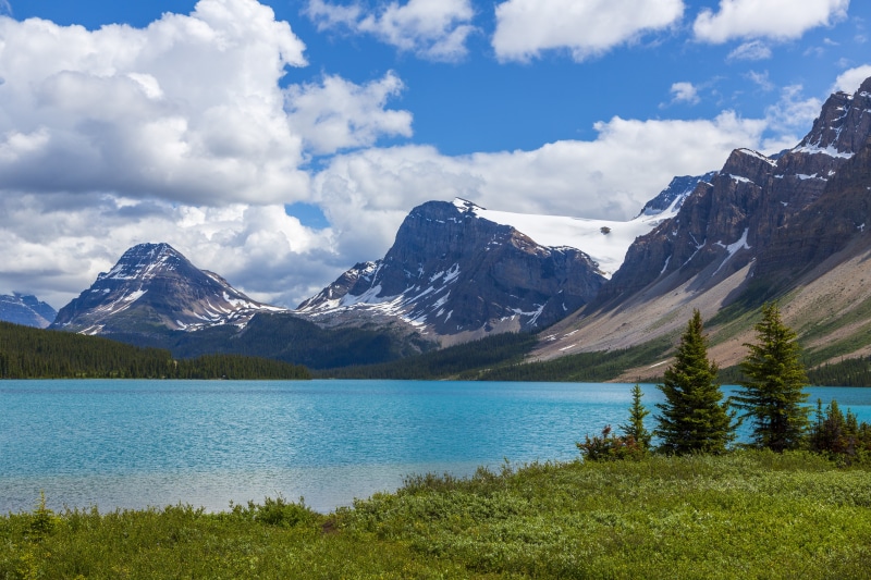 Bow Lake Alberta Canada Mountains and Snow