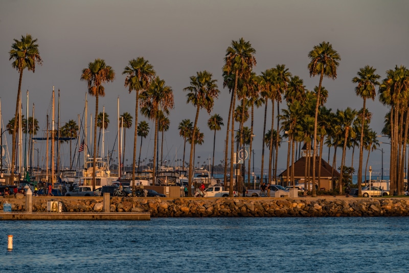 Shoreline Village Long Beach Marinas with Palm Trees