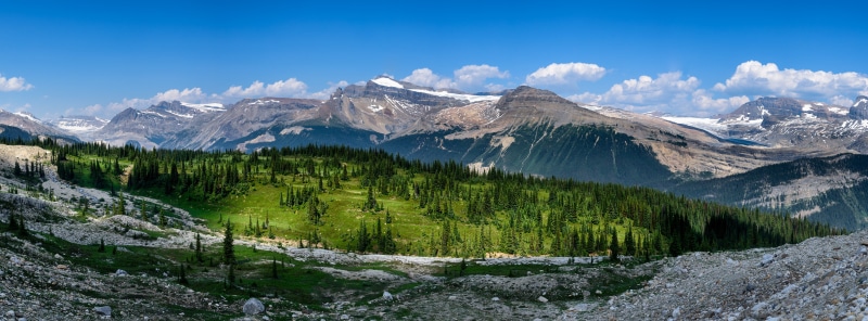 Yoho National Park Panorama with Mountains and Forest