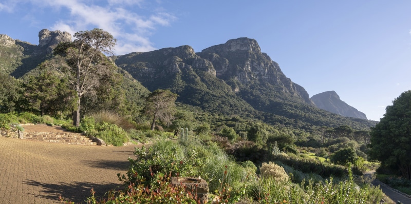 Mountains and Gardens with Stone Steps