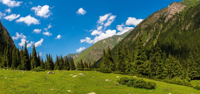Mountains and Trees in Altyn Arashan, Kyrgyzstan