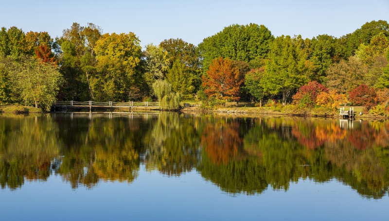 Autumn trees reflected in a lake with a bridge