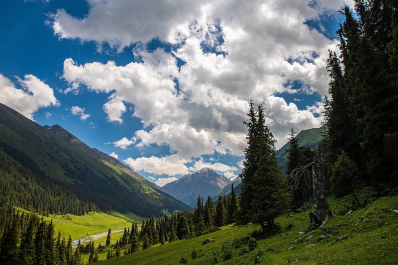 4K Altyn Arashan Kyrgyzstan Mountains with Clouds and Trees