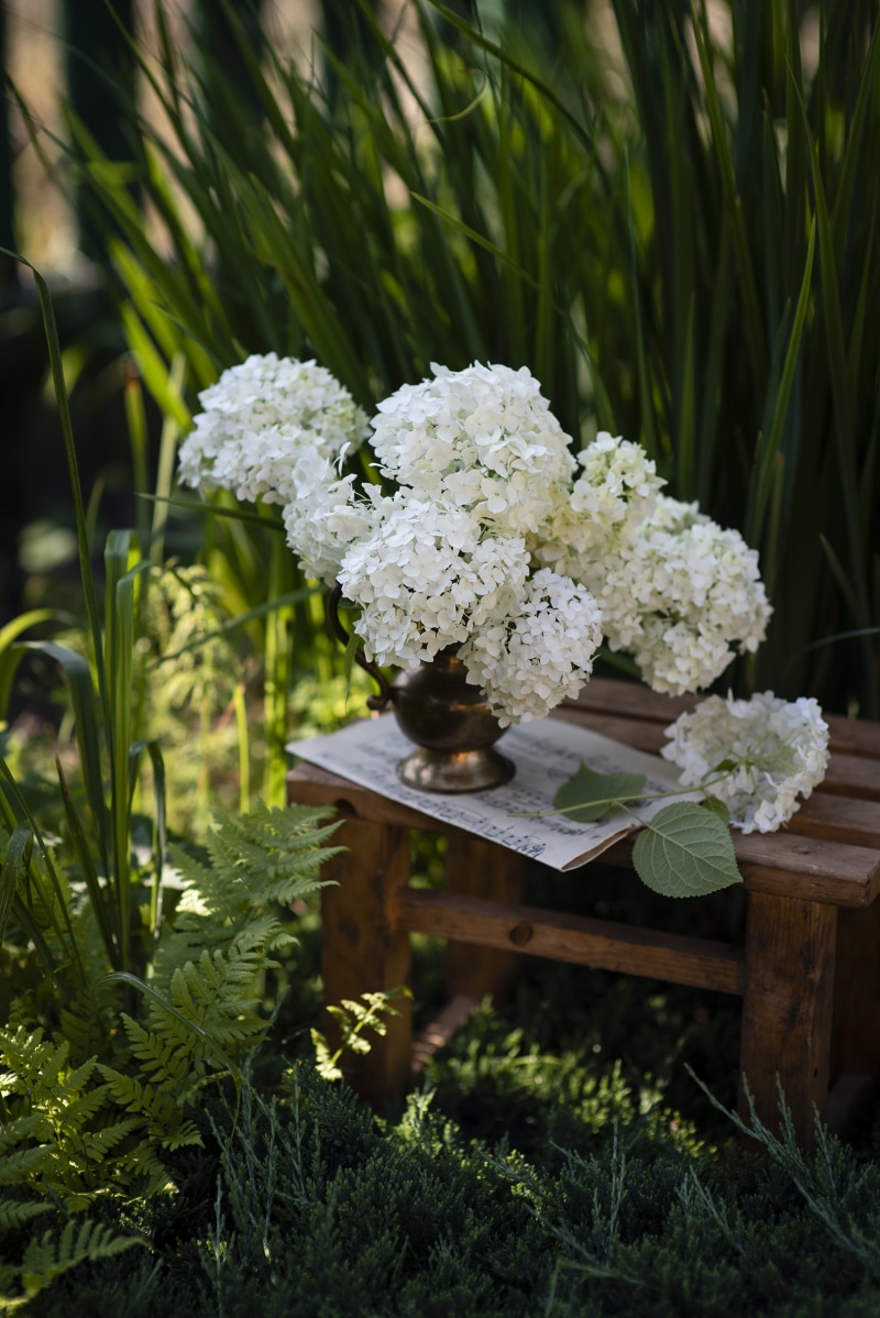 White Hydrangeas in a vase on a wooden stool