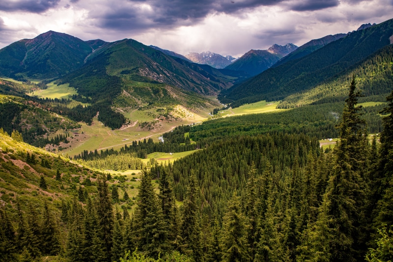 4K, 5K, Kok Jayik valley, Kyrgyzstan, Mountains, Trees, Clouds, Valley ...