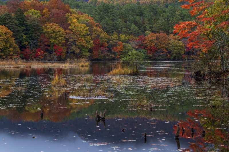Autumn foliage reflected in a lake in Fukushima, Japan