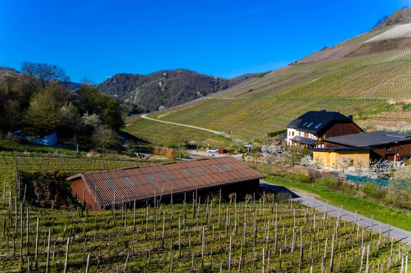Vineyards and houses in Mayschoss, Germany