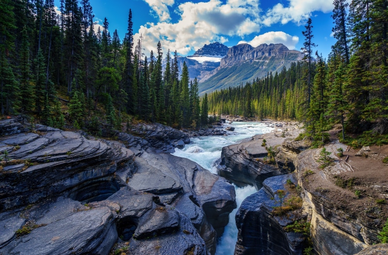 River flowing through a rocky canyon with pine forests and mountains