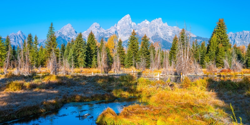 Grand Teton National Park Autumn Scenery with Mountains and Trees