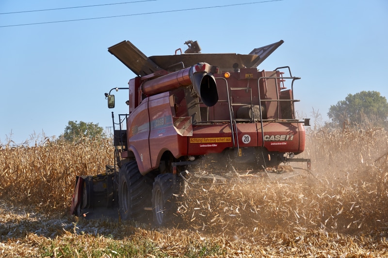 CASE IH 5088 Combine Harvester in Corn Field