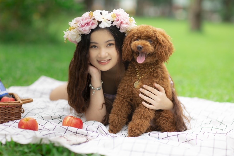 Asian girl with flower wreath and poodle dog