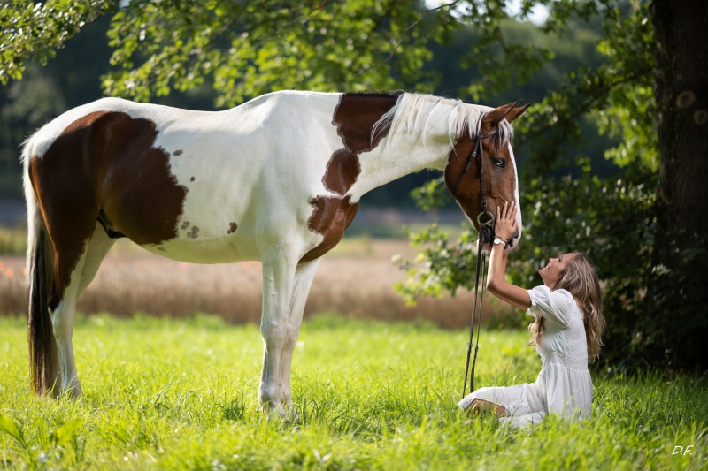 4K Marion and Epalino with Horses in Grass