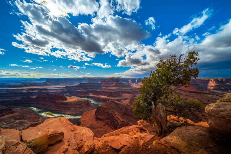 Canyonlands National Park, Utah, USA