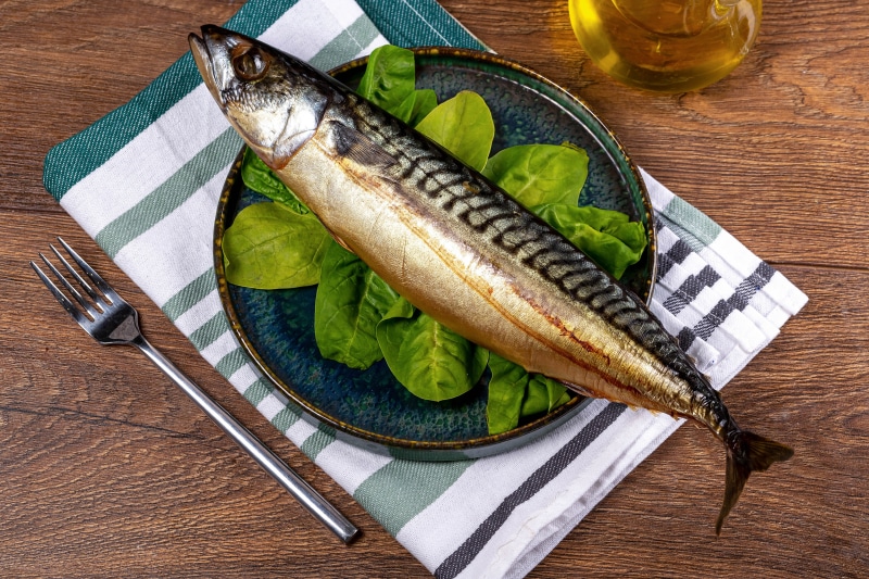 Whole Mackerel Fish on a Plate with Spinach